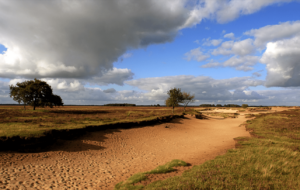 Exploring the National Parks of Drenthe by Bicycle