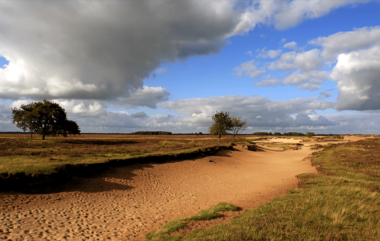 Exploring the National Parks of Drenthe by Bicycle