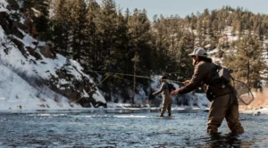 Unraveling Seasonal Insect Hatches and Their Impact on Fly Fishing